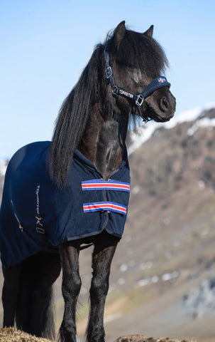 Top Reiter KLAKI ANTI SWEAT RUG - Iceland