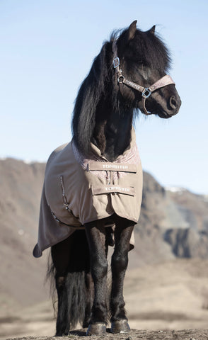 Top Reiter KLAKI ANTI SWEAT RUG - Truffle Brown