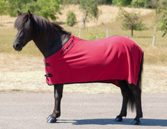 Fleece Blanket 125/69 - More colors