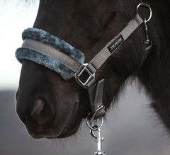 Padded Halter with Rope