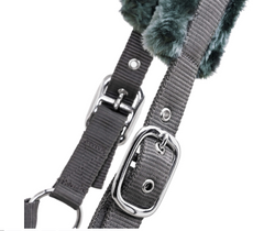 Padded Halter with Rope