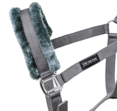 Padded Halter with Rope