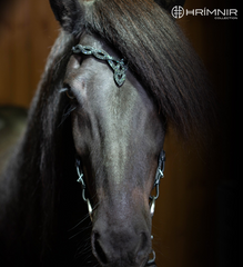 Hrimnir Headstall with black stones