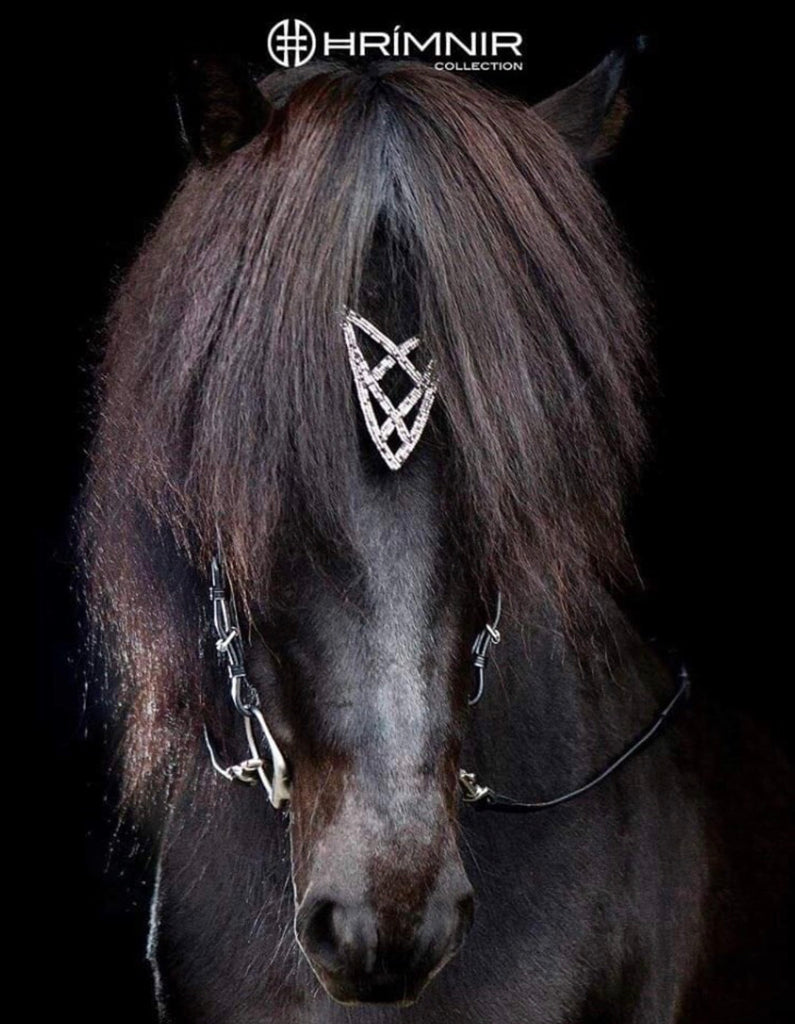 Hrimnir Headstall Heritage Shield