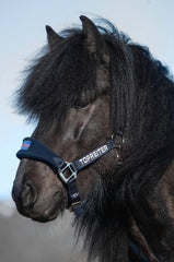 Top Reiter Klaki Halter set -Iceland