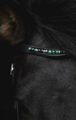 Top Reiter Orka Bridle - Green
