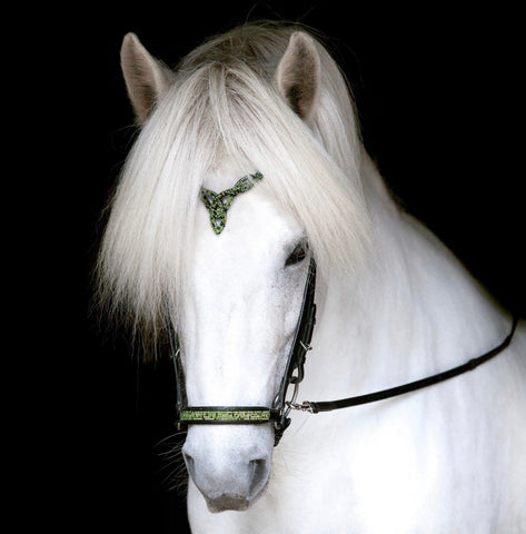 Hrimnir Noseband - Aurora