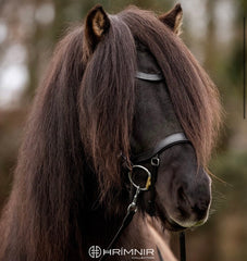 Headstall Classic Heritage