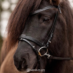 Flash noseband Heritage