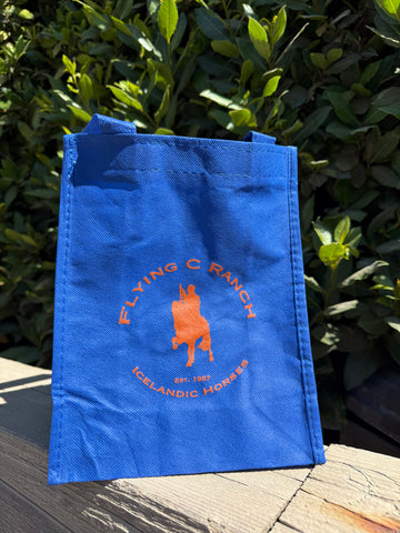 Small reusable bag