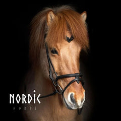 Bridle with Black Leaves