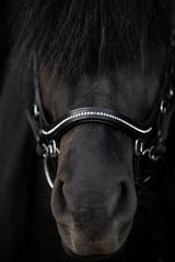 Top Reiter Training Bridle with stones