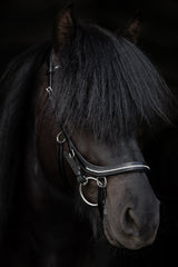 Top Reiter Training Bridle with stones