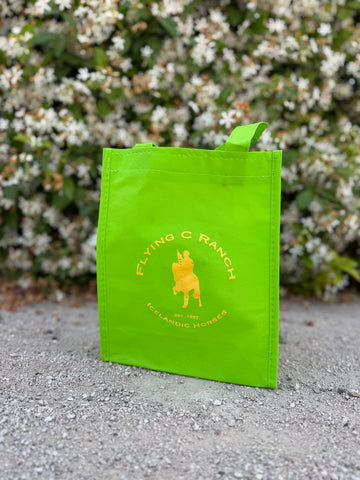 Small reusable bag