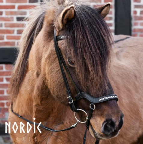 Bridle with White stones