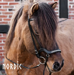 Bridle with White stones