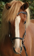 Bridle with a carved detail and white stones