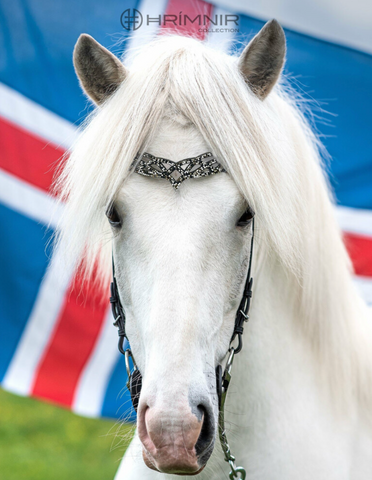 Hrimnir Headstall Heritage B - Fire & Ice