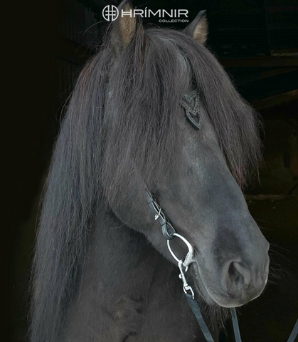 Hrimnir Headstall Heritage Unity Lava