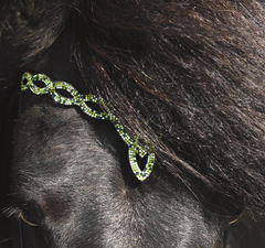 Hrimnir Headstall Aurora
