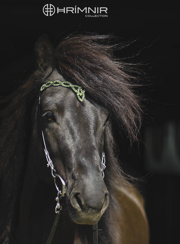 Hrimnir Headstall Aurora