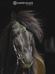 Hrimnir Headstall Aurora