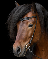 Hrimnir Headstall Heritage B - Lava