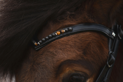 Top Reiter ORKA Bridle with matching dropped noseband