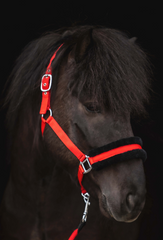 Padded Halter with Rope Red