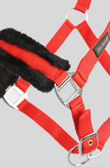 Padded Halter with Rope Red