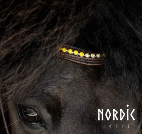 Brown Bridle with Yellow stones
