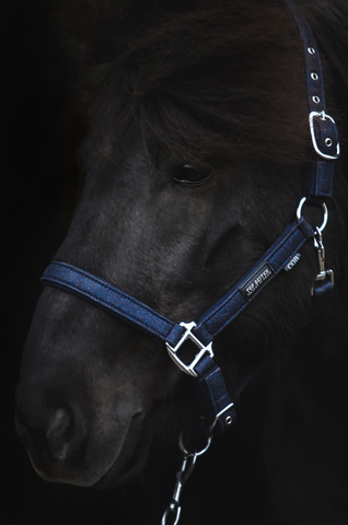 "Glitrandi" Halter - BLUE