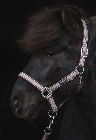 "Glitrandi" Halter - PINK