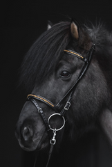 Bridle with gold stones