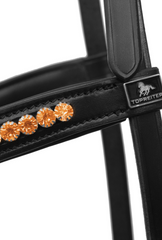 Bridle with gold stones