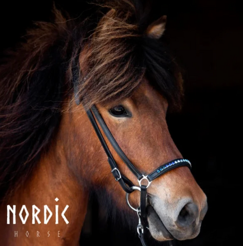Bridle with Blue gradient Stones