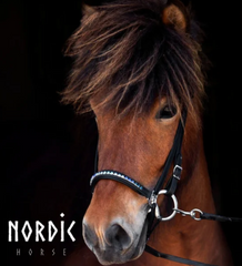 Bridle with Blue gradient Stones