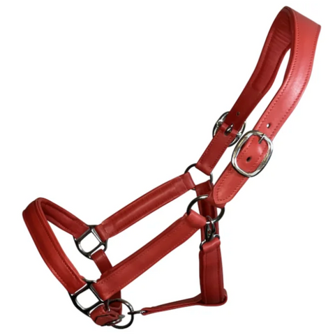 Red Leather Halter with padding
