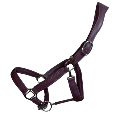 Purple Leather Halter with padding