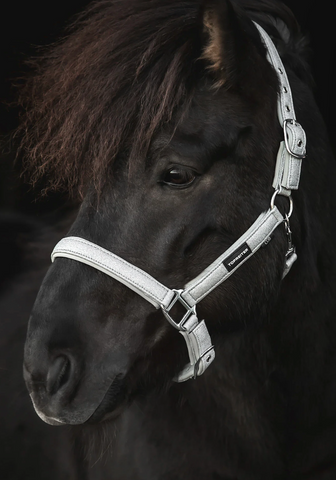 Glitrandi halter - Silver