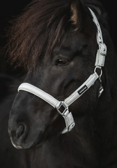 Glitrandi halter - Silver