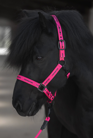 Top Reiter Hot Pink Halter set