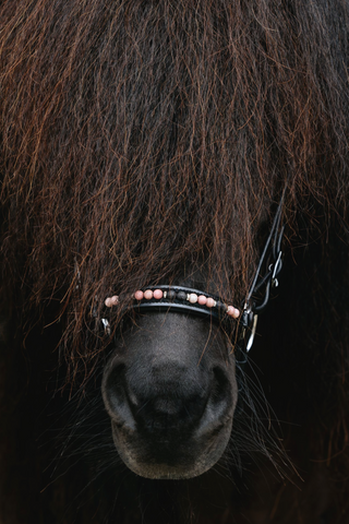 Top Reiter Orka Bridle - Pink