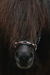 Top Reiter Orka Bridle - Pink