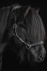 Top Reiter Leather Halter - Snillingur