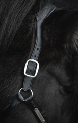 Top Reiter Leather Halter - Snillingur