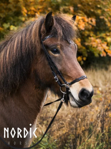 Bridle with cut out detail