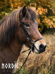 Bridle with cut out detail