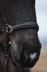 "Mosi" Bridle