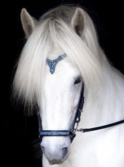 Hrimnir Headstall with blue stones